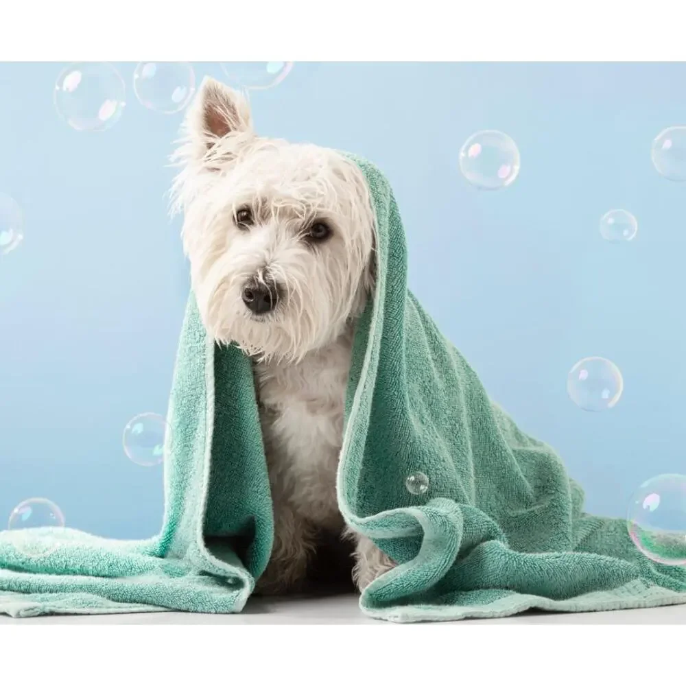 K9 Refresh After Bath Deodorizing Spray by Exfolia Essence offered in 5oz